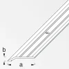 alfer Flachabschlussprofil 2 m, 30 x 5 mm Aluminium eloxiert silber