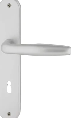 Alpertec BB-Langschildgarnitur Ray II Aluminium F1 silber abgerundet
