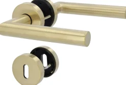 Alpertec Türgriff-Garnitur Rosette Fair I BB Edelstahl gold matt Ø 52 mm