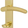 Alpertec WC-Langschildgarnitur Beate Messing gold abgerundet