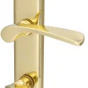 Alpertec WC-Langschildgarnitur Nelson Messing gold eckig