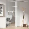 Ambiente Glas-Schiebetür Opal Dekor S 36/16 ESG, Klarglas