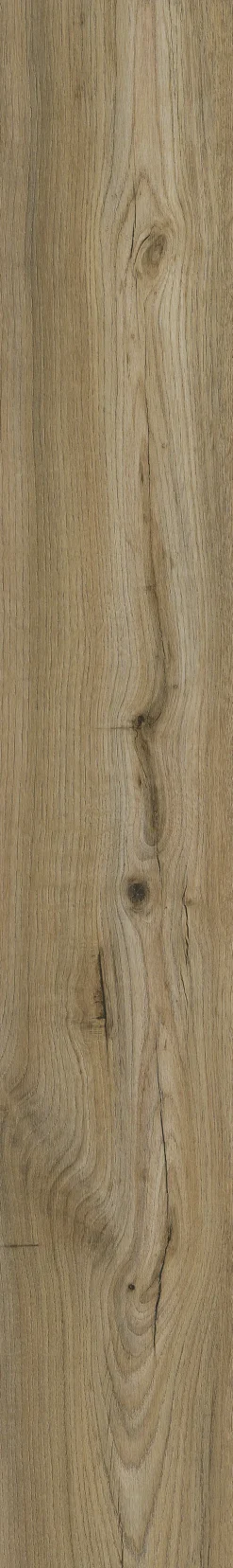 Amorim Corklife Vinylboden mit Trittschalldämmung Golden Rustic Oak