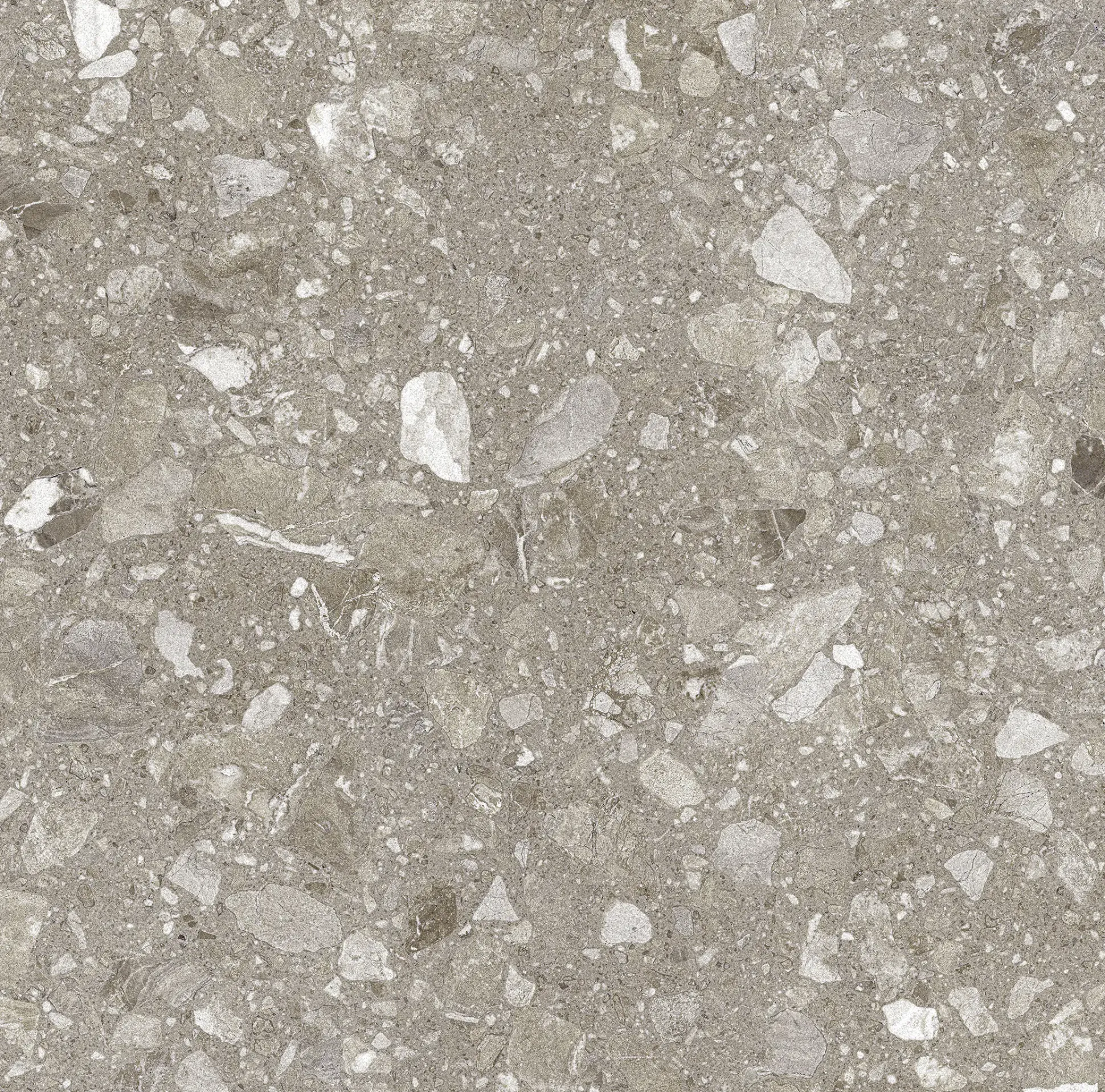 Bodenfliese Feinsteinzeug Terra 60 x 60 cm greige