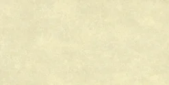 Bodenfliese Feinsteinzeug Absolute 31 x 62 cm beige