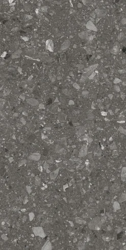 Bodenfliese Feinsteinzeug Terra 60 x 120 cm anthrazit