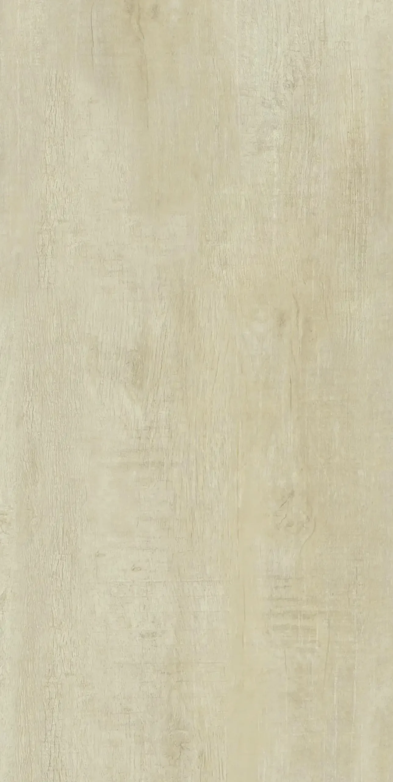 Bodenfliese Feinsteinzeug Country 31 x 62 cm Betulla