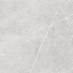 Bodenfliese Feinsteinzeug Ciana 60 x 60 cm grey