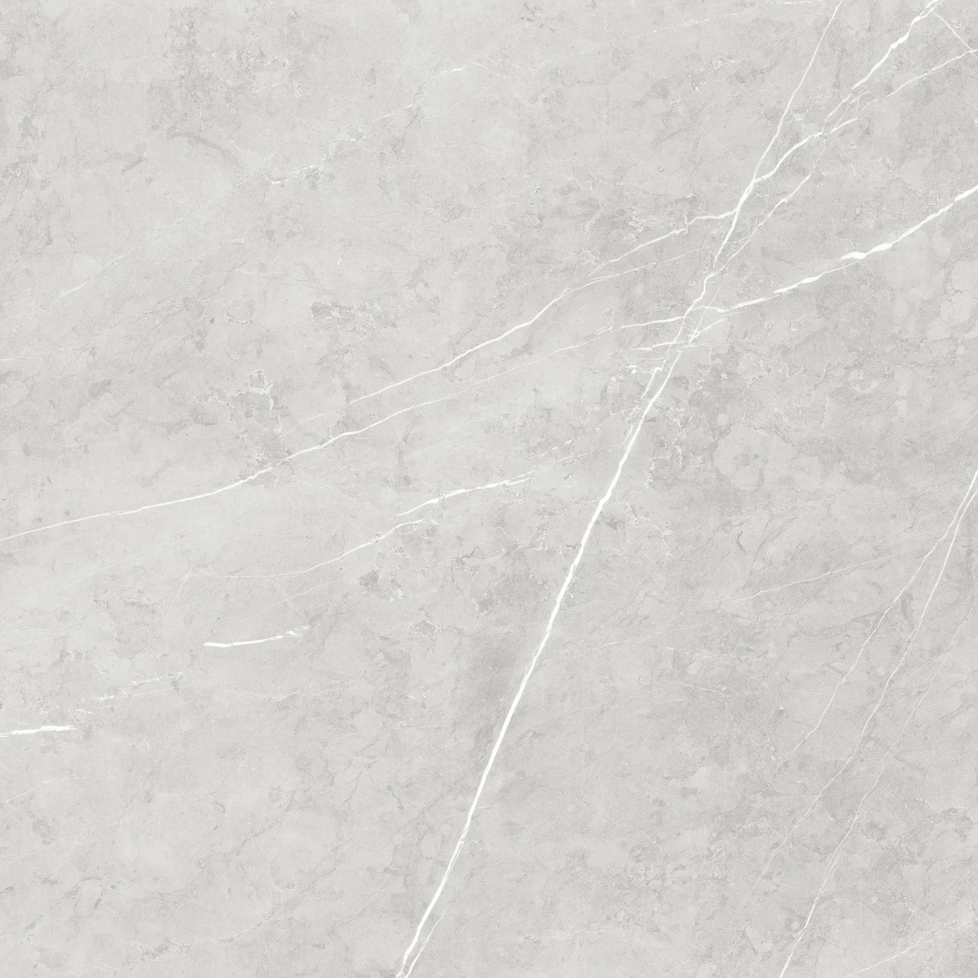 Bodenfliese Feinsteinzeug Ciana 60 x 60 cm grey