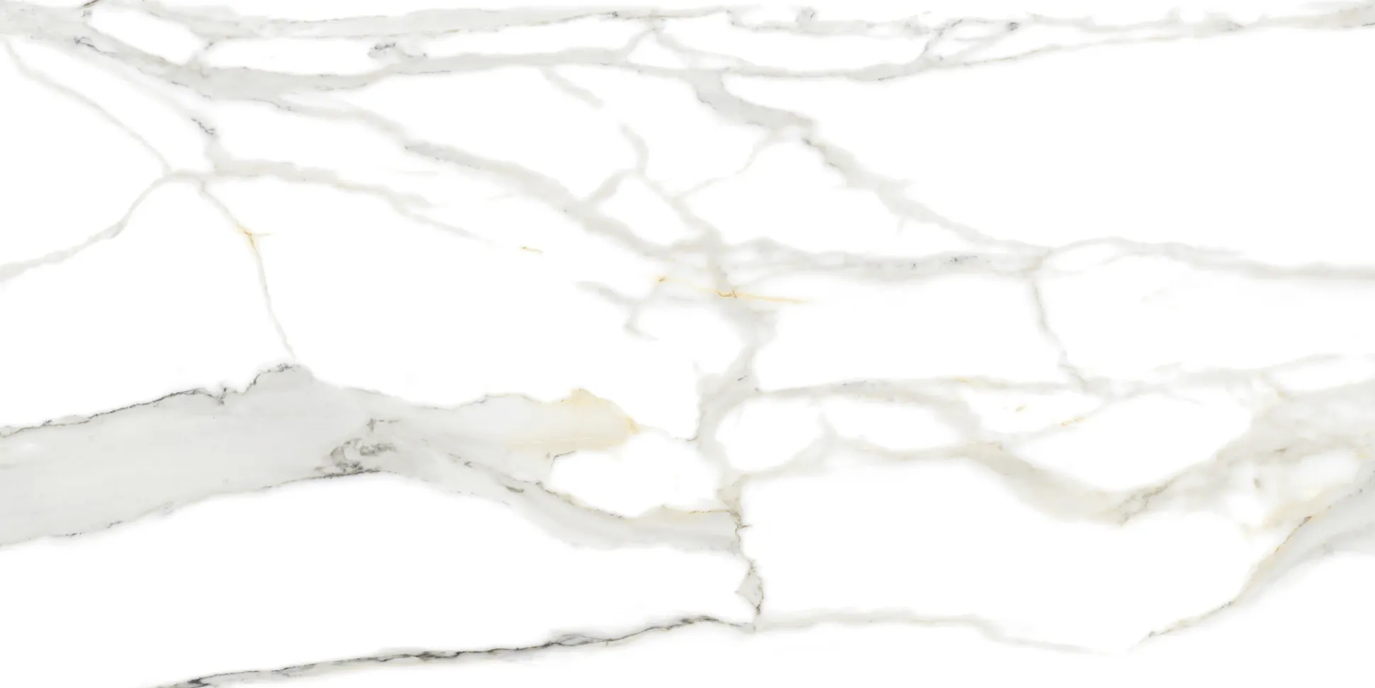 Bodenfliese Feinsteinzeug Continua Calacatta 60 x 120 cm gold