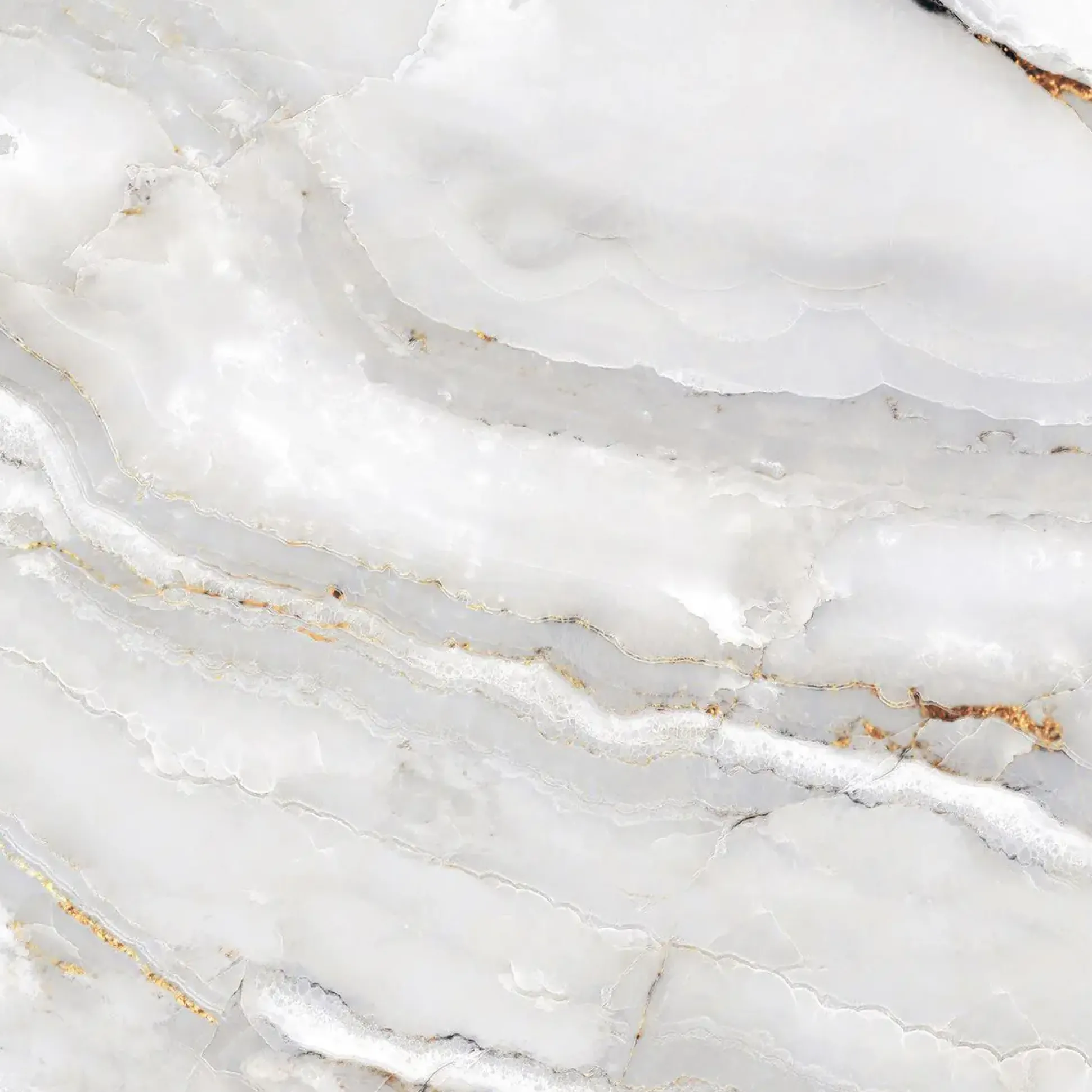 Bodenfliese Feinsteinzeug Alabaster Cleo Light 60 x 60 cm weiß/gold