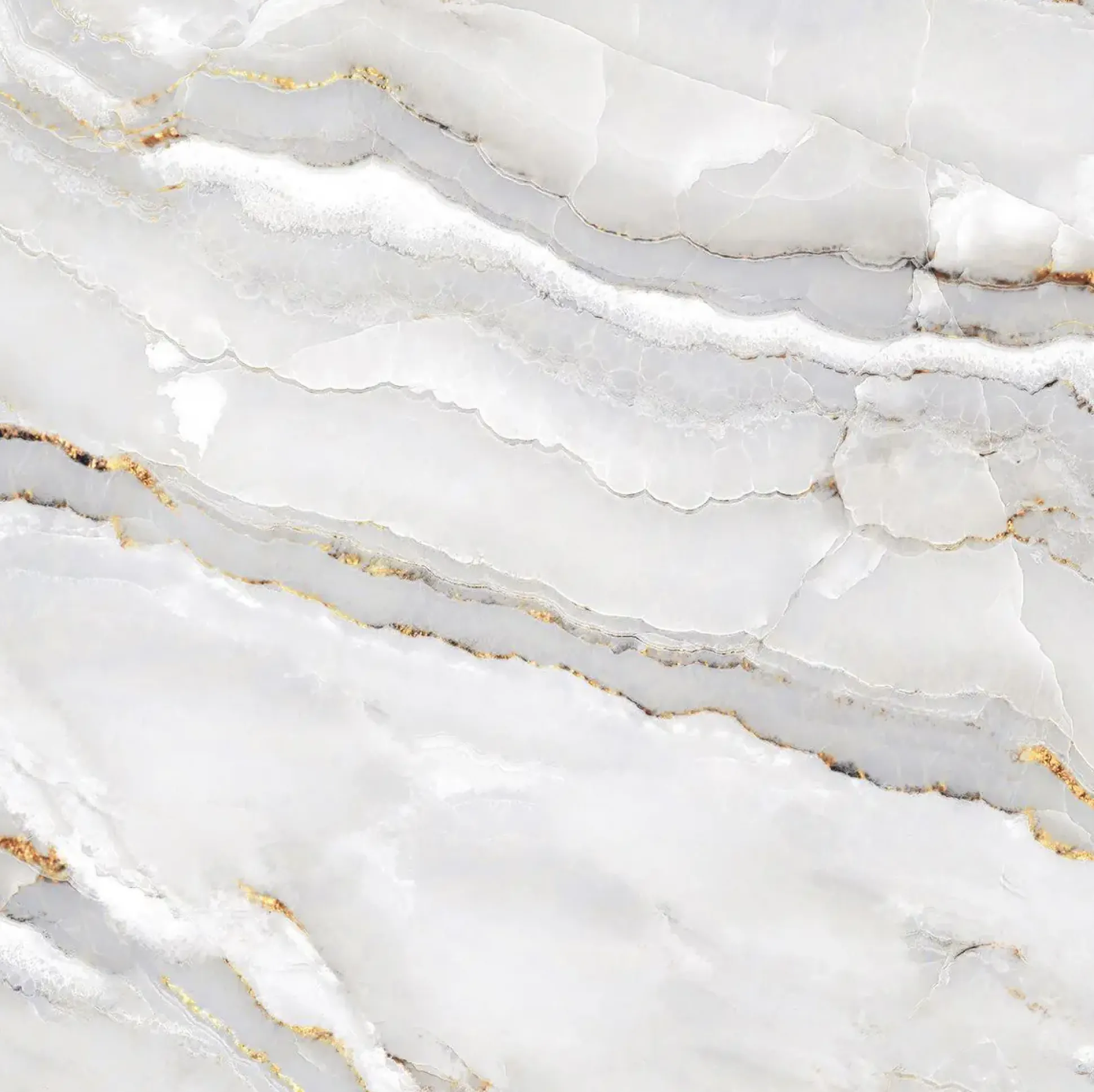 Bodenfliese Feinsteinzeug Alabaster Cleo Light 60 x 60 cm weiß/gold