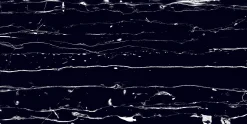 Bodenfliese Feinsteinzeug Prothro Black 60 x 120 cm schwarz