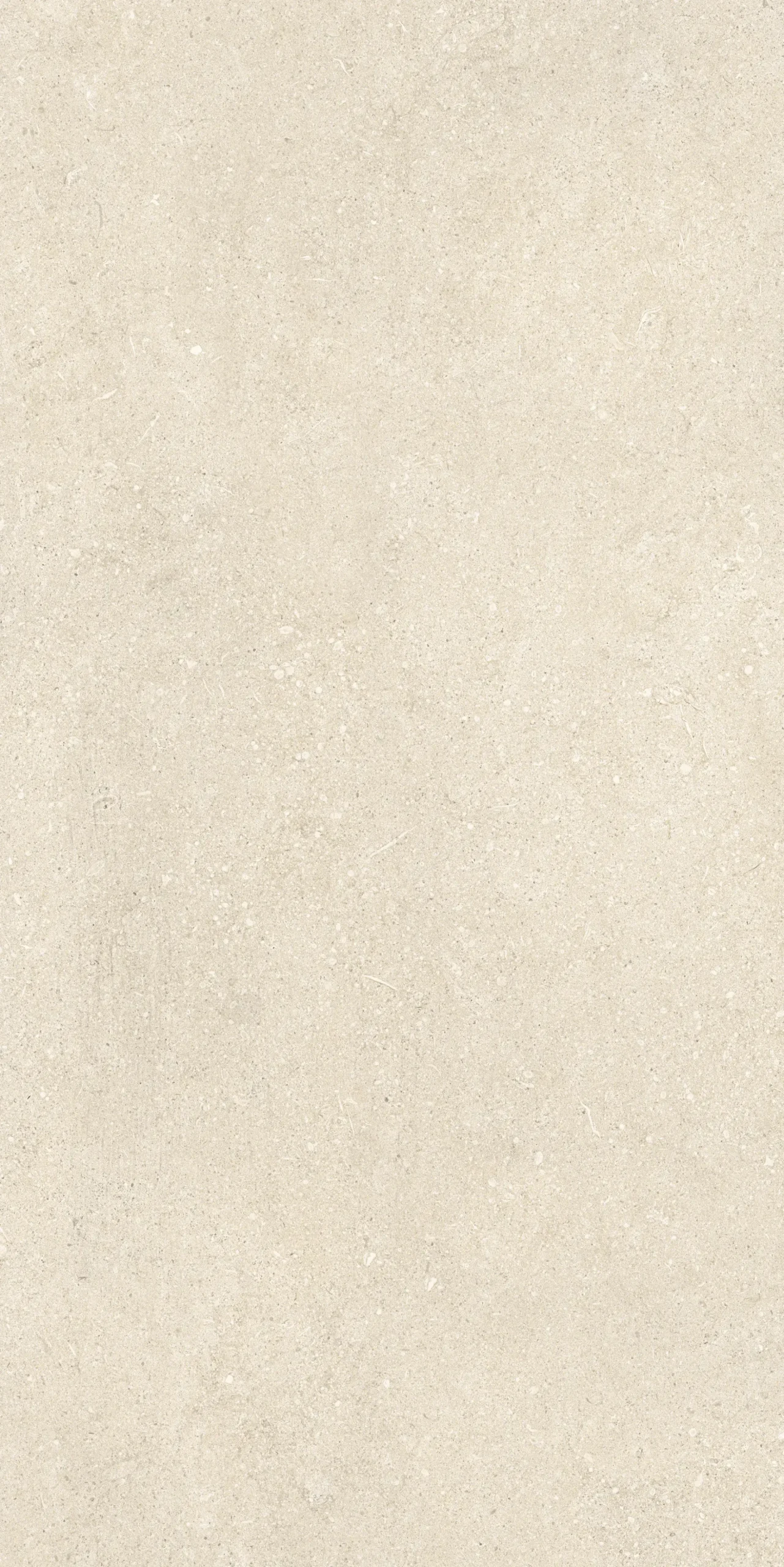 Bodenfliese Feinsteinzeug Sensi 60 x 120 cm beige