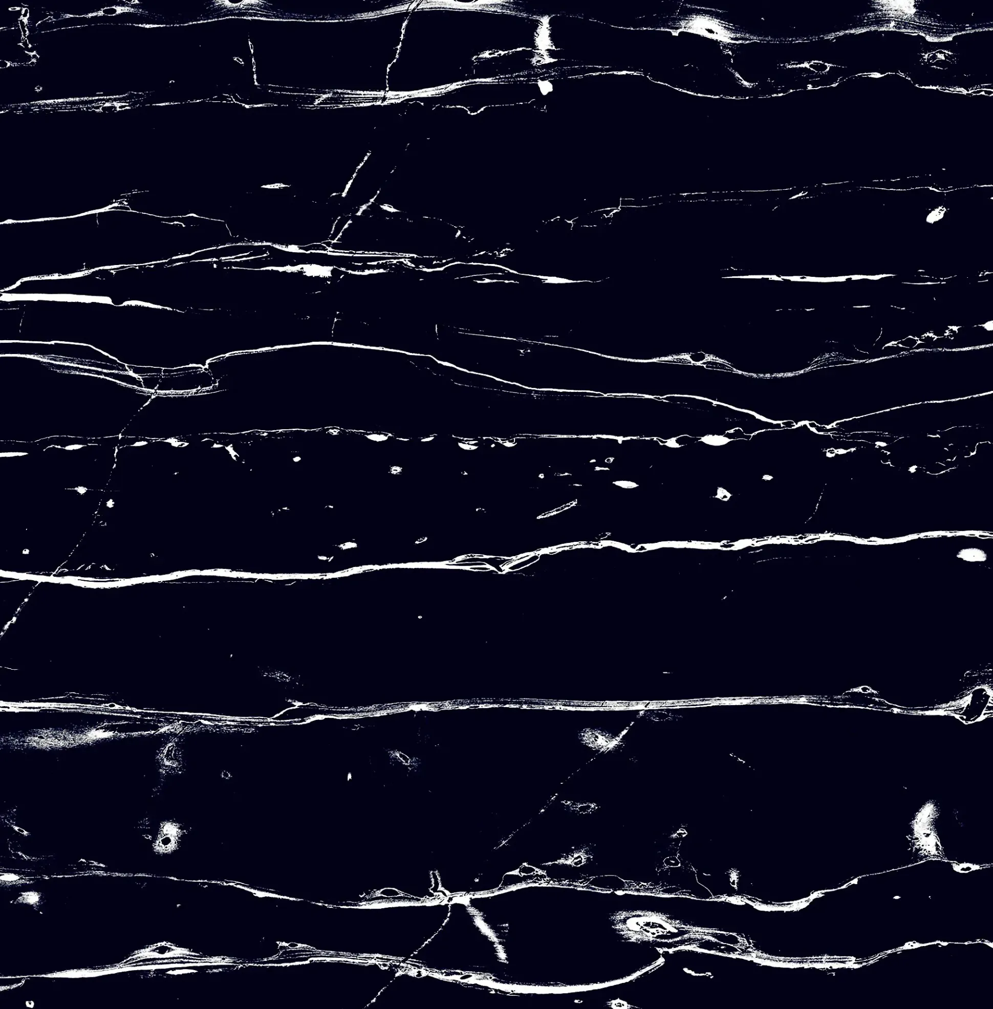 Bodenfliese Feinsteinzeug Prothro Black 60 x 60 cm schwarz
