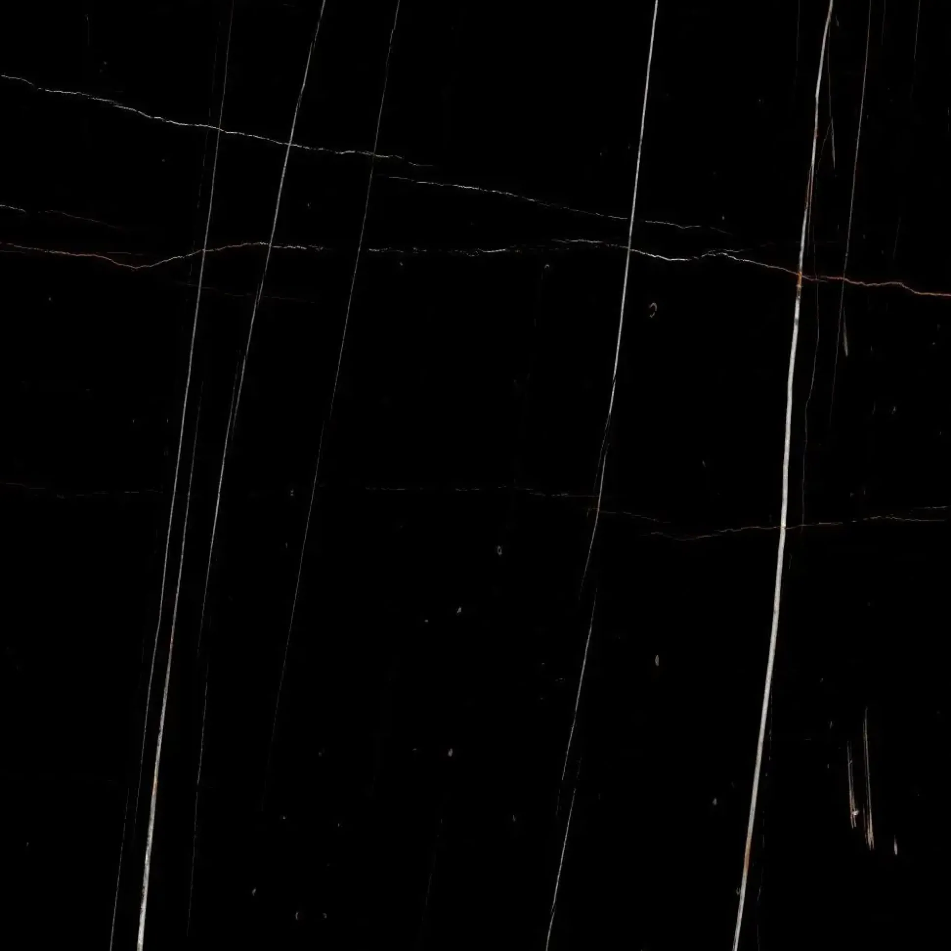 Bodenfliese Feinsteinzeug Sahara 60 x 60 cm schwarz