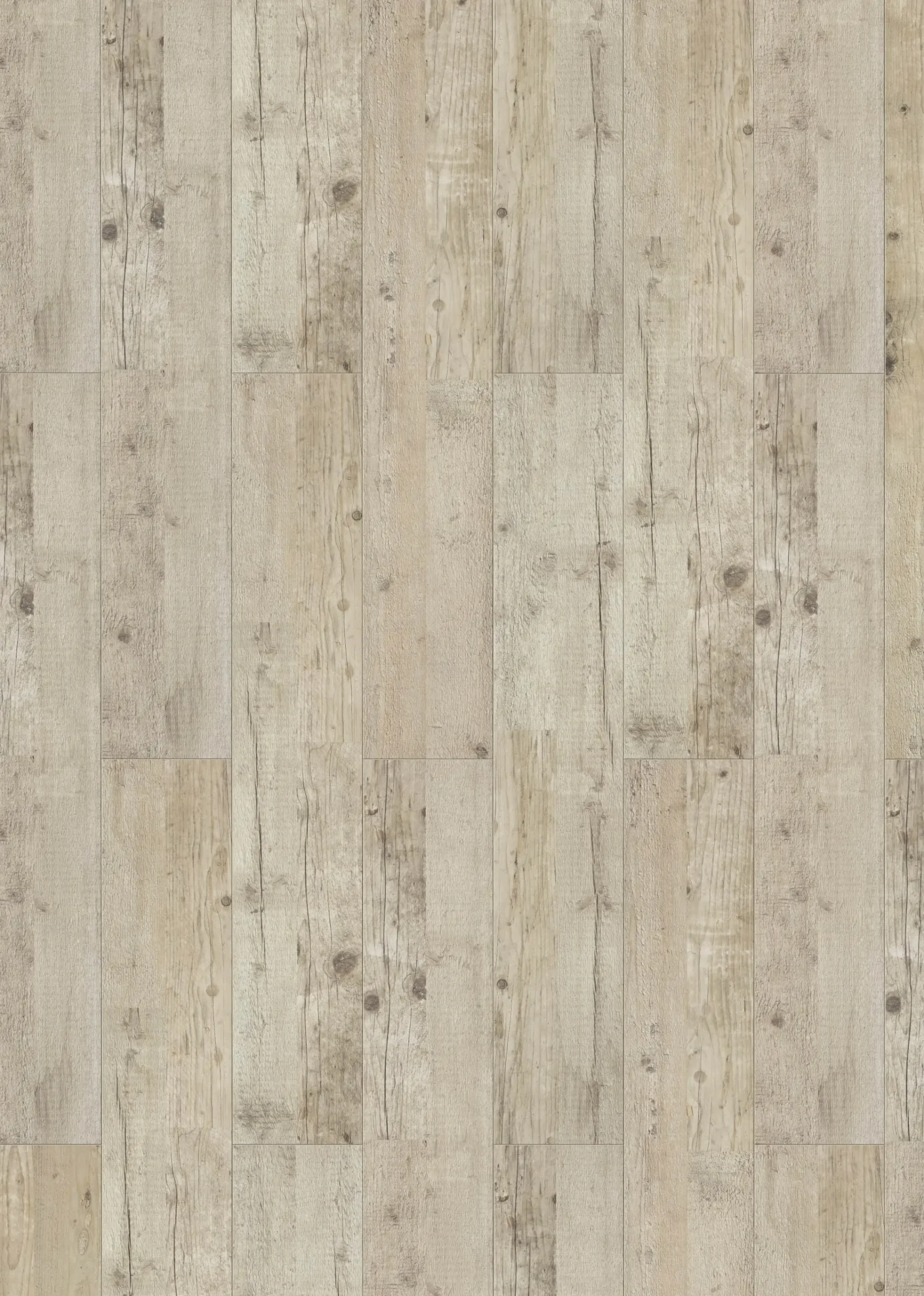 Classen Laminat 7 mm 4V 128,6 x 19,4 cm 7 mm Kiefer beige