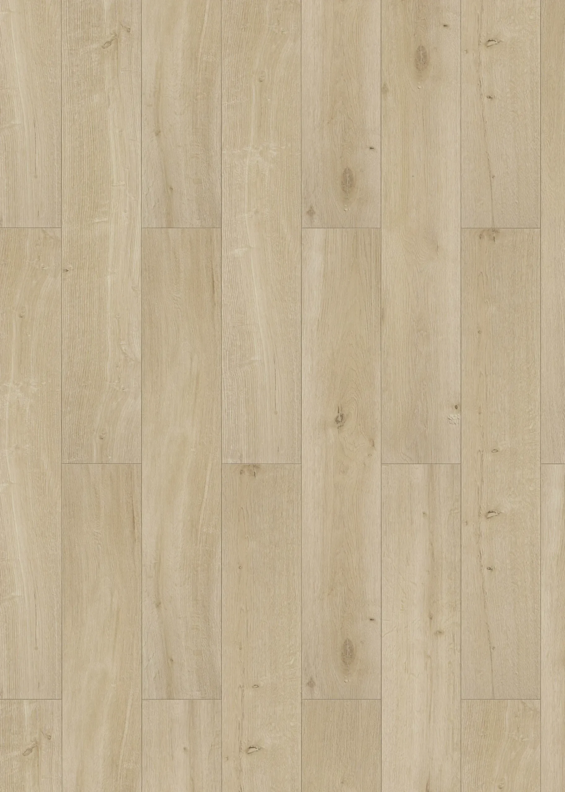 Classen Laminat Edition 7 V Eiche Nebraska