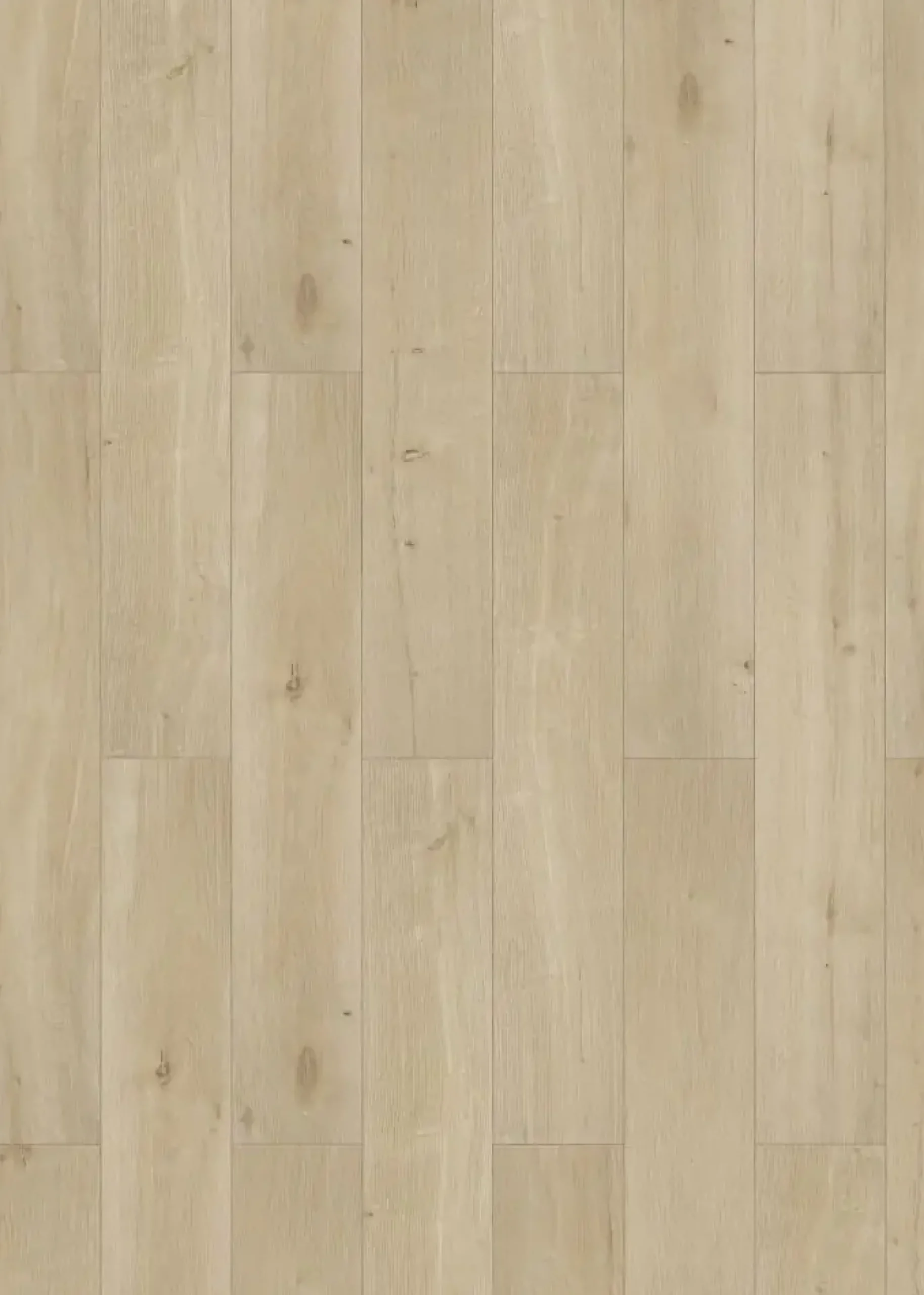 Classen Laminat Edition 7 V Eiche Nebraska