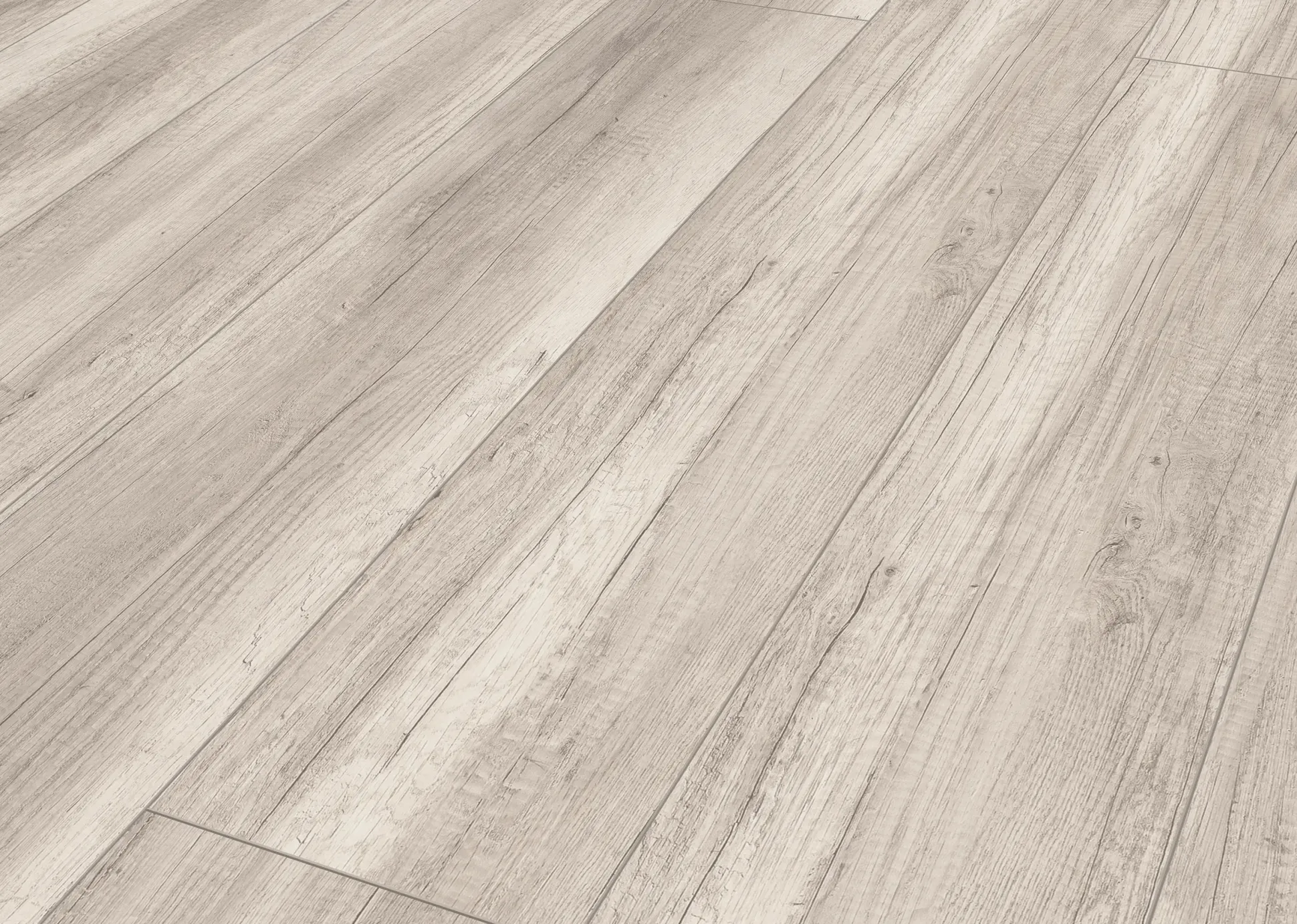 Classen Laminat Grande XXL Alamo Eiche hellgrau