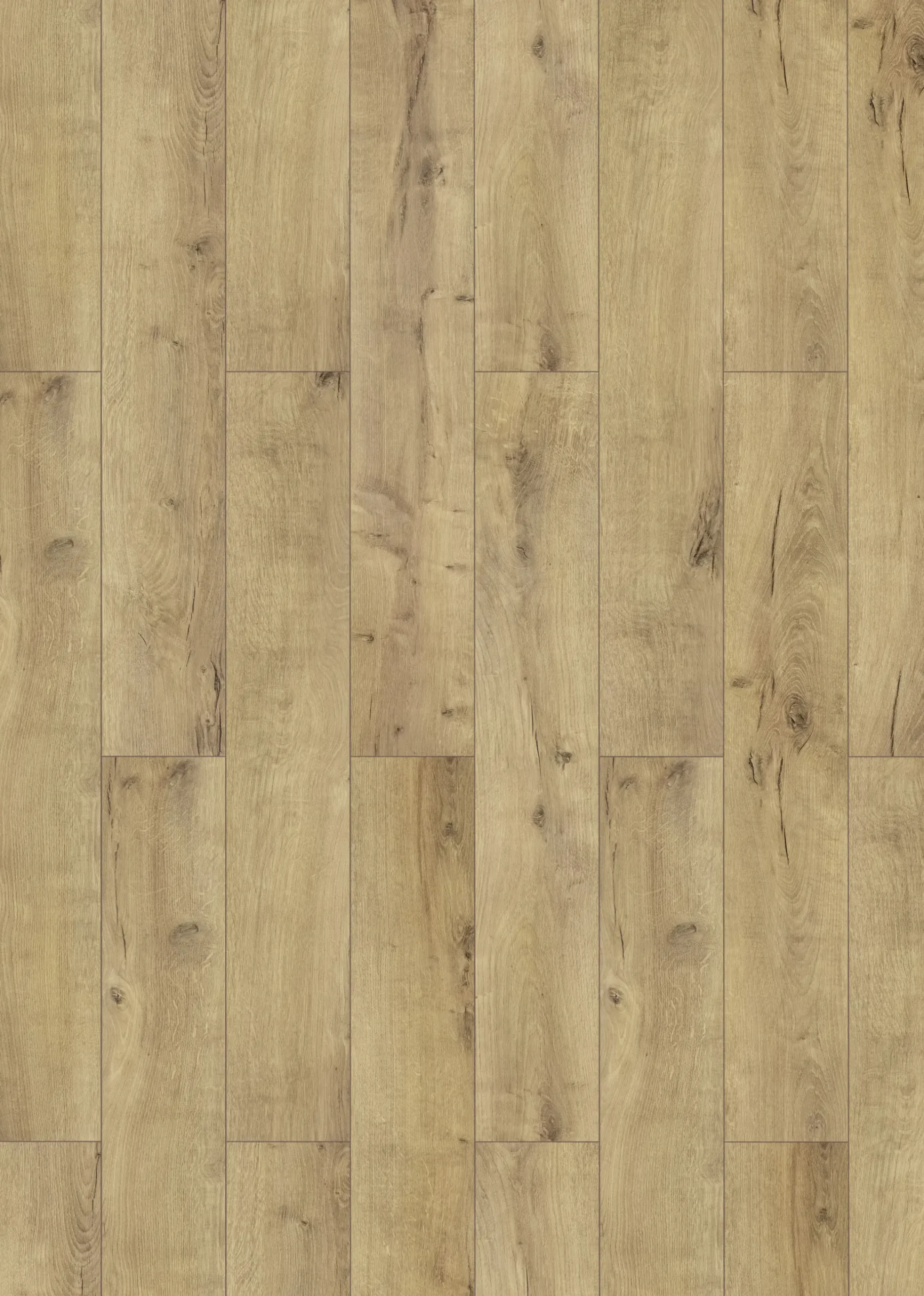 Classen Laminat Megaloc Aquaprotect 128,5 x 19,2 cm 8 mm Oak light natural
