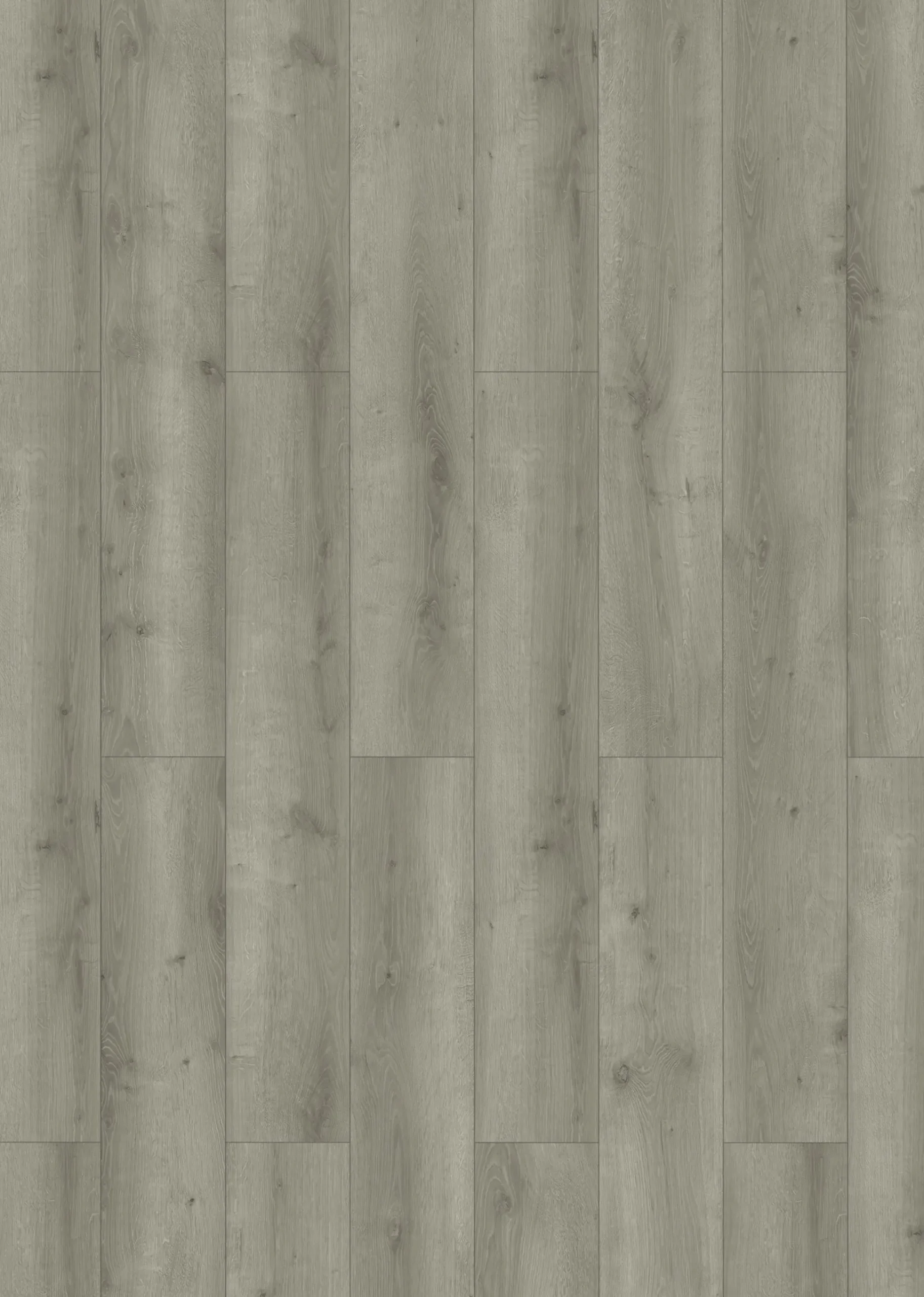 Classen Laminat Megaloc Aquaprotect Oak grey brown