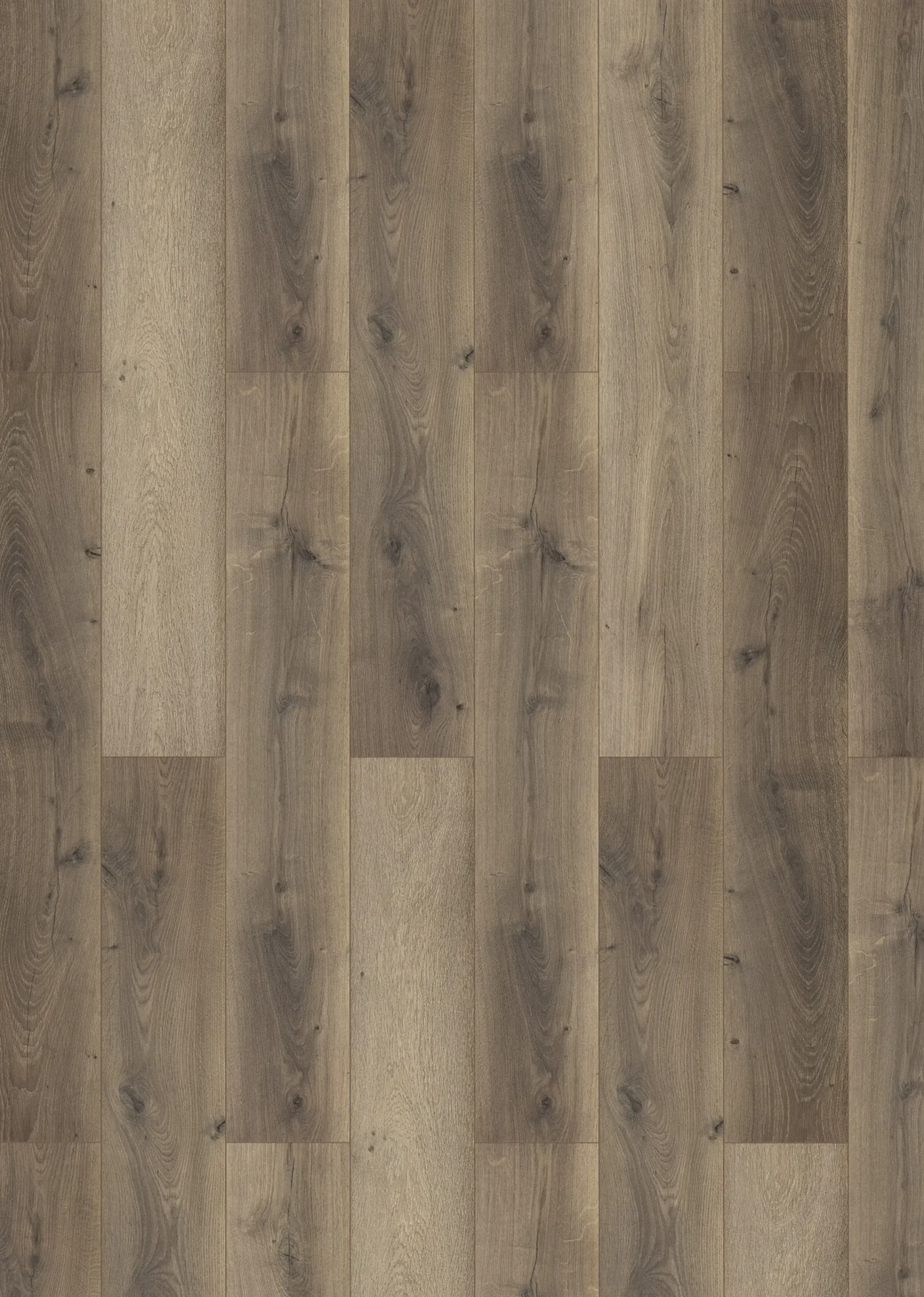 Classen Laminat Megaloc Aquaprotect 128,5 x 19,2 cm 8 mm Eiche braun mix