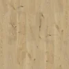 Classen Laminat 4V Eiche natur gelb