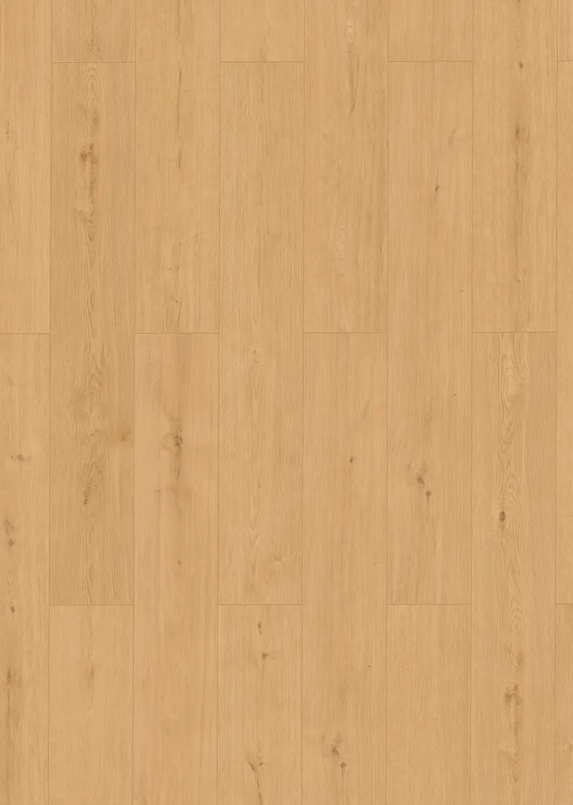 Classen Vinyl Designboden Ceramin Floors Tera Banff Oak