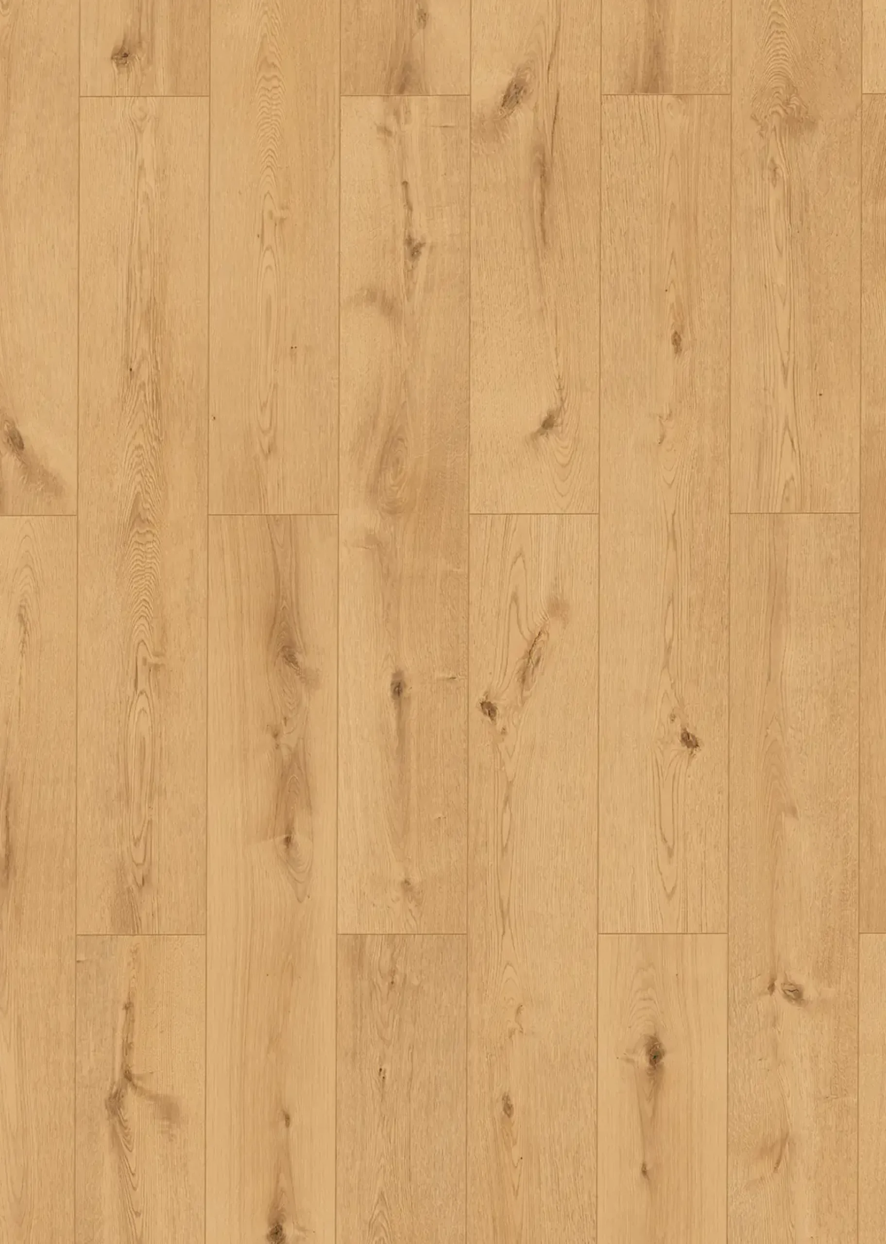 Classen Vinyl Designboden Ceramin Floors Tera Fundy Oak