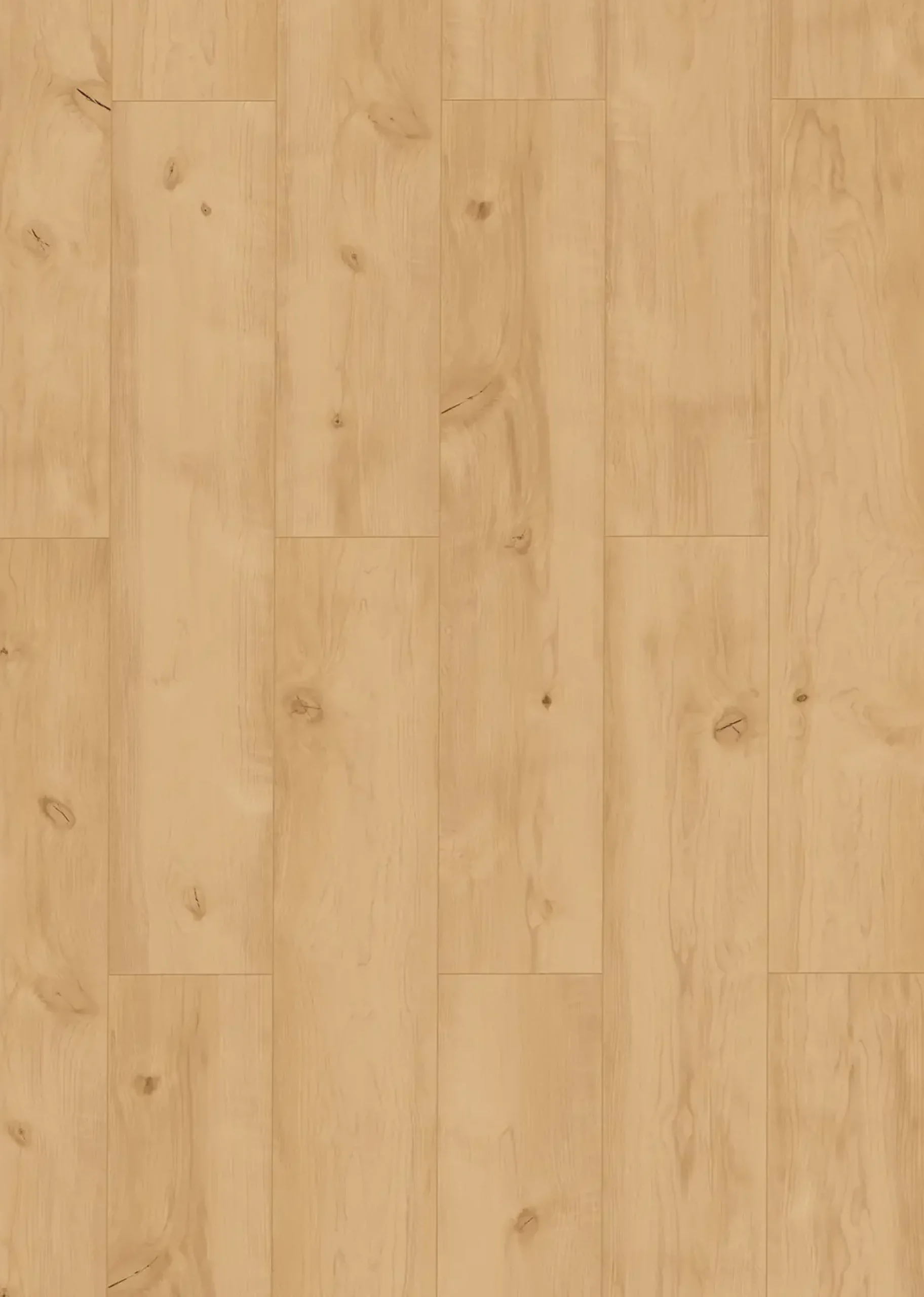 Classen Vinylboden Ceramin Floors Tera Eiche Champagner