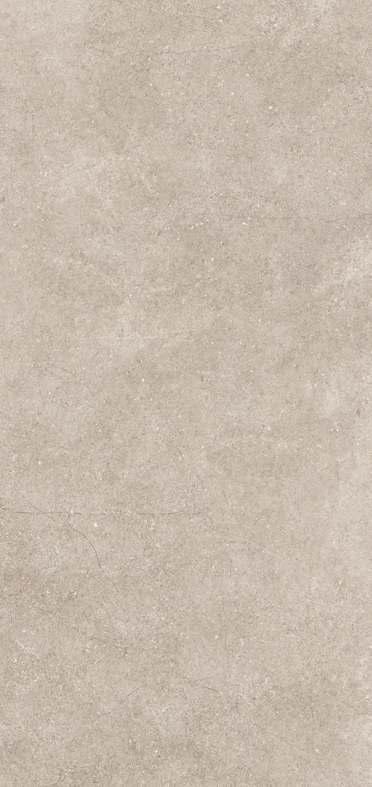 Classen Wandverkleidung Vario Stone grey 255 x 120 cm x 3 mm
