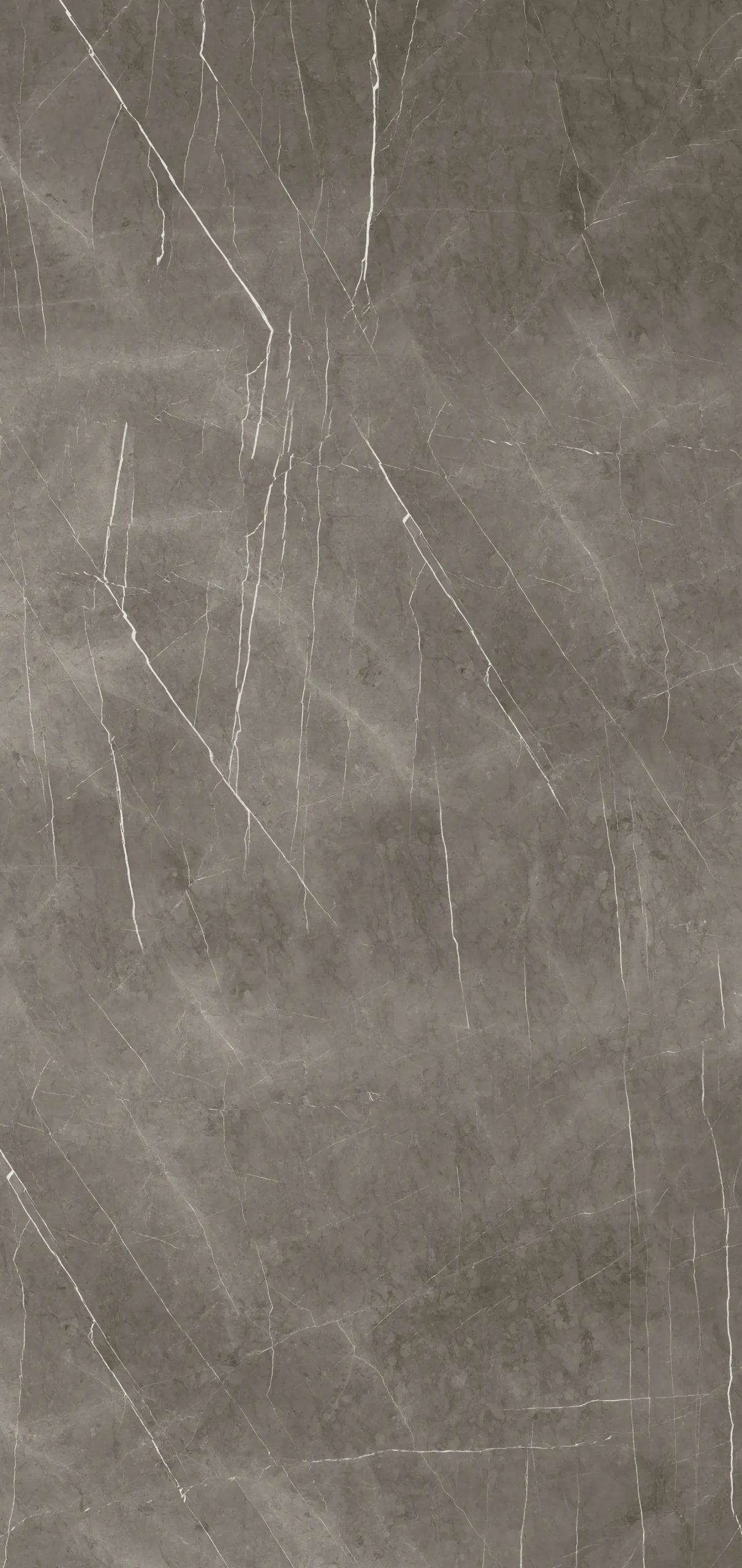 Classen Wandverkleidung Vario Marble Grey 255 x 120 cm x 3 mm