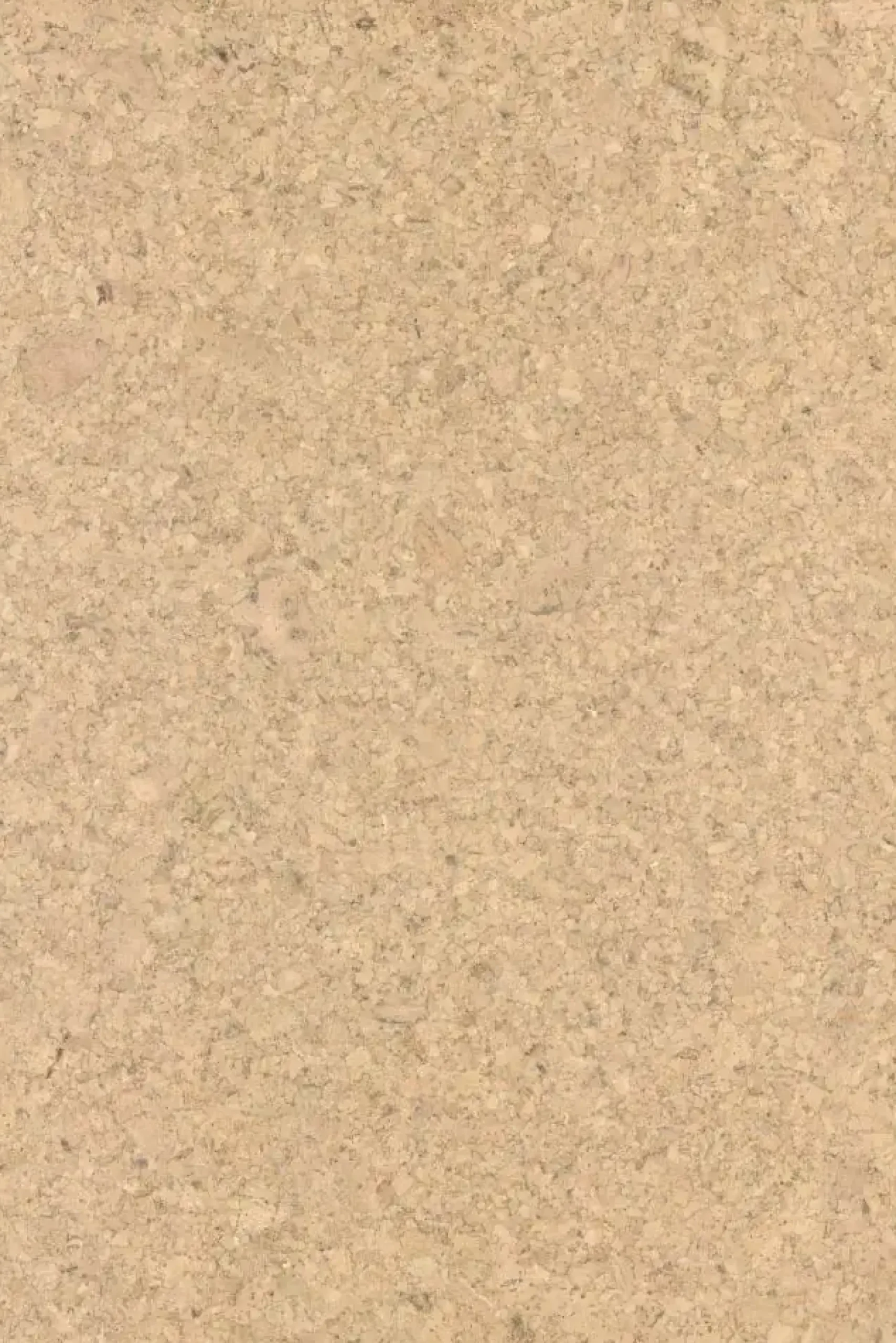 Corklife Korkboden Studiostyle Aveiro creme