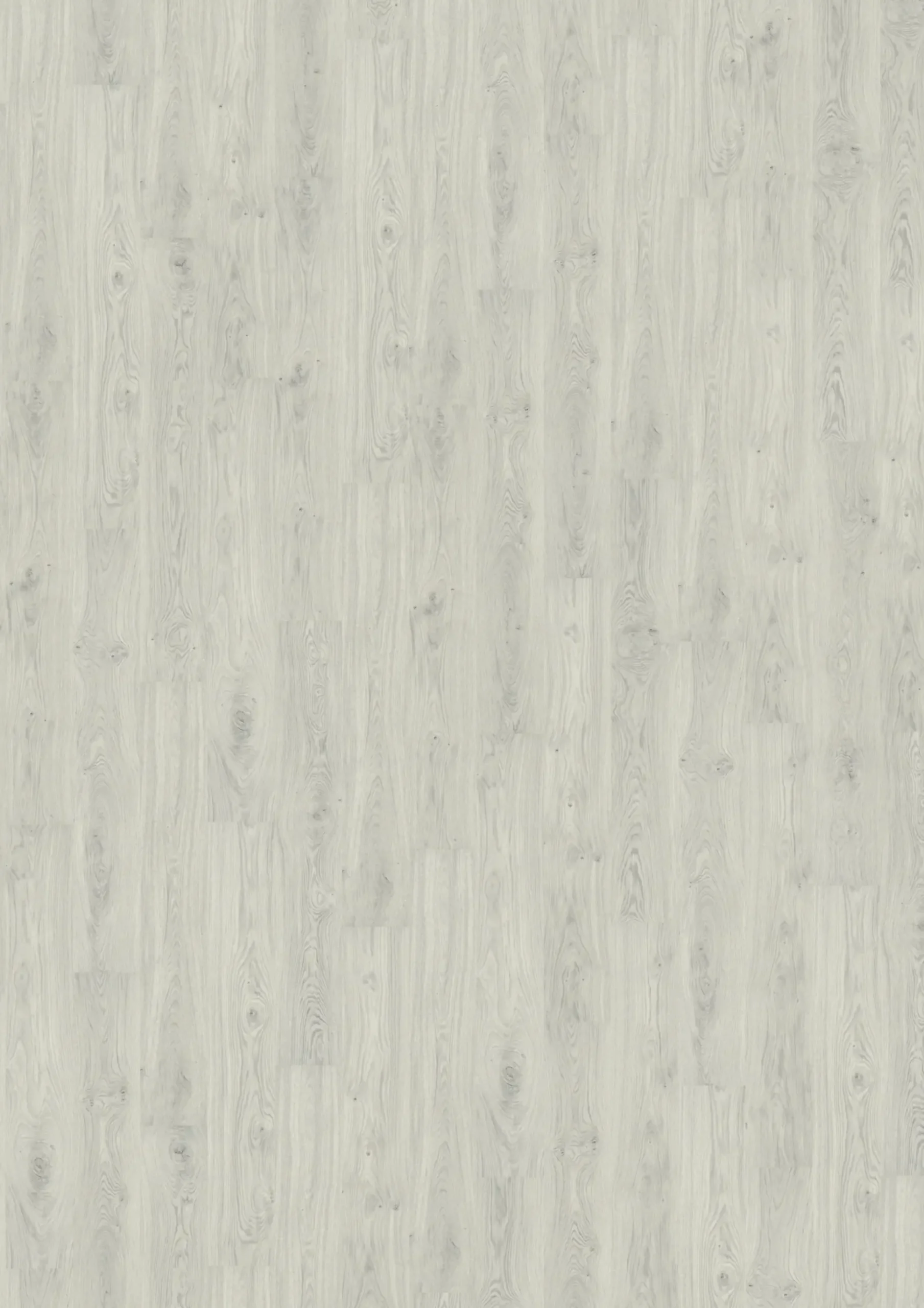 Decolife Vinylboden mit Trittschalldämmung Freestyle AccesOak Silver