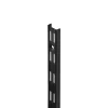 Dolle Wandschiene 2-Reihig 50 cm schwarz Metall