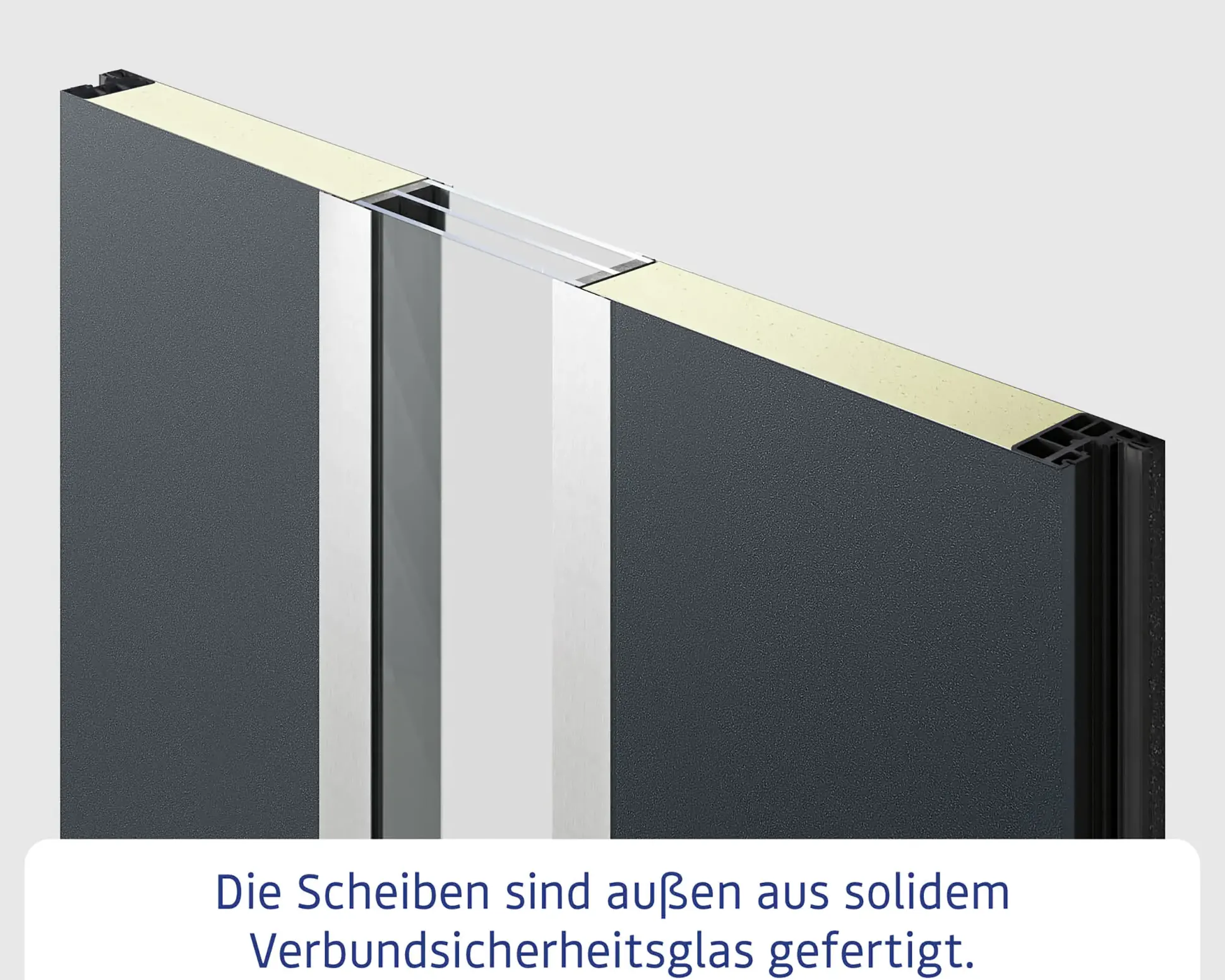 EcoStar Haustür ISOPRO IP 020S night oak 110 x 210 cm