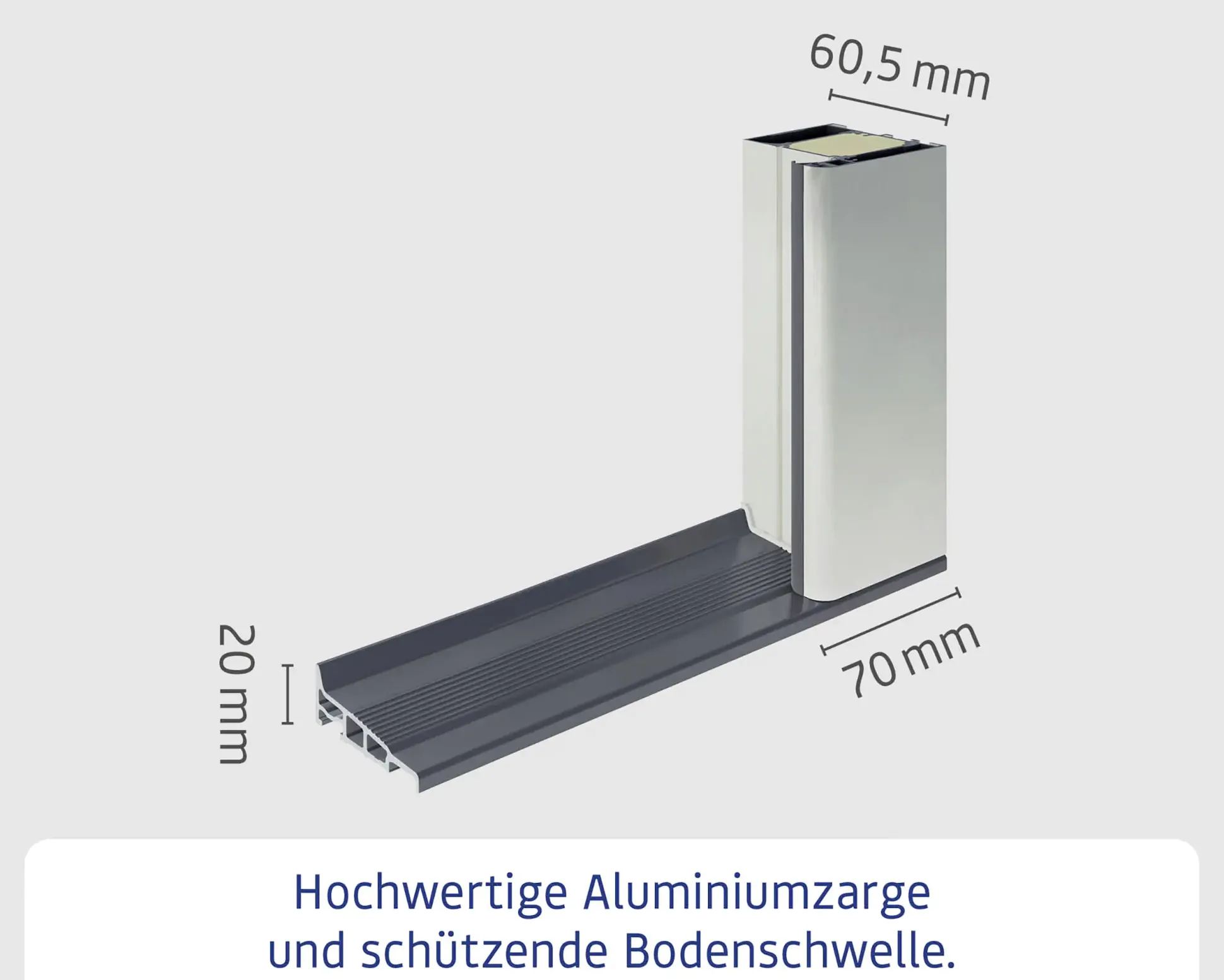 EcoStar Haustür ISOPRO IP 020S night oak 110 x 210 cm