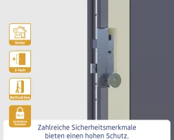 EcoStar Haustür ISOPRO Secur IPS 780S RC2 golden oak 110 x 210 cm