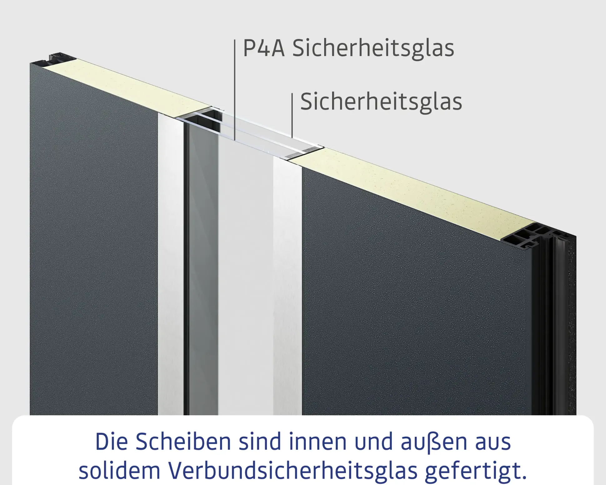EcoStar Haustür ISOPRO Secur IPS 810S RC2 dark oak 110 x 210 cm