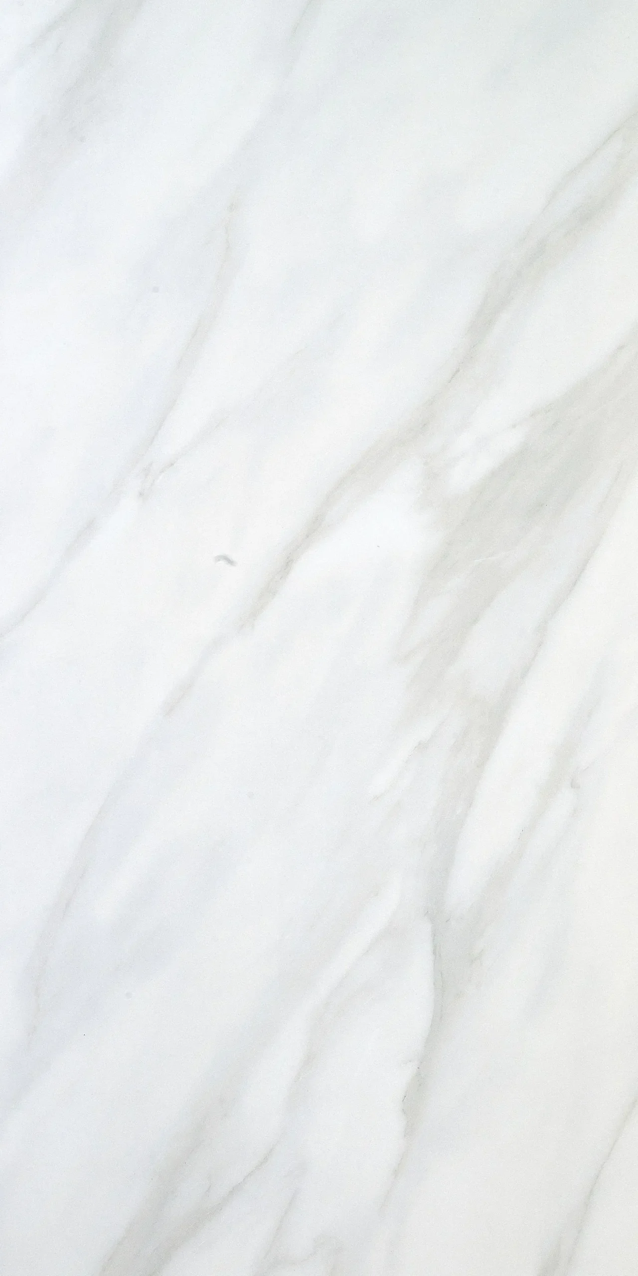 Eurostone Bodenfliese Feinsteinzeug Ceratec Calacatta glasiert glänzend 60 x 120 cm