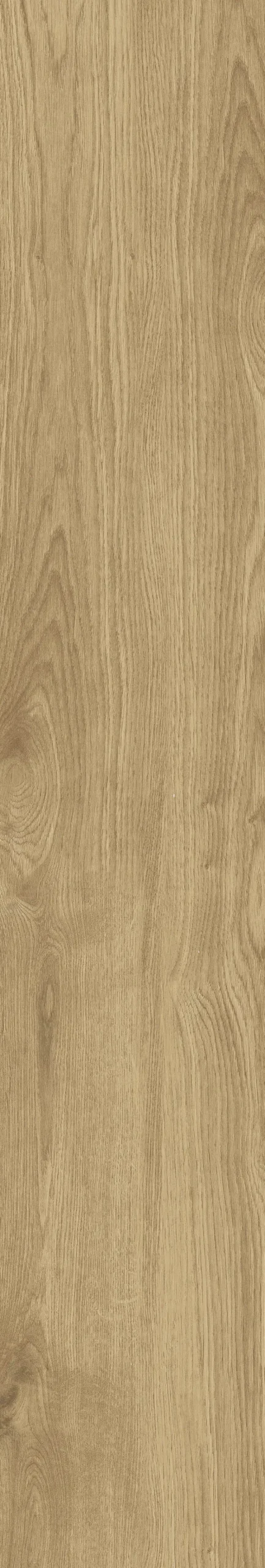 Eurostone Bodenfliese Feinsteinzeug Timber 20 x 120 cm hellbraun