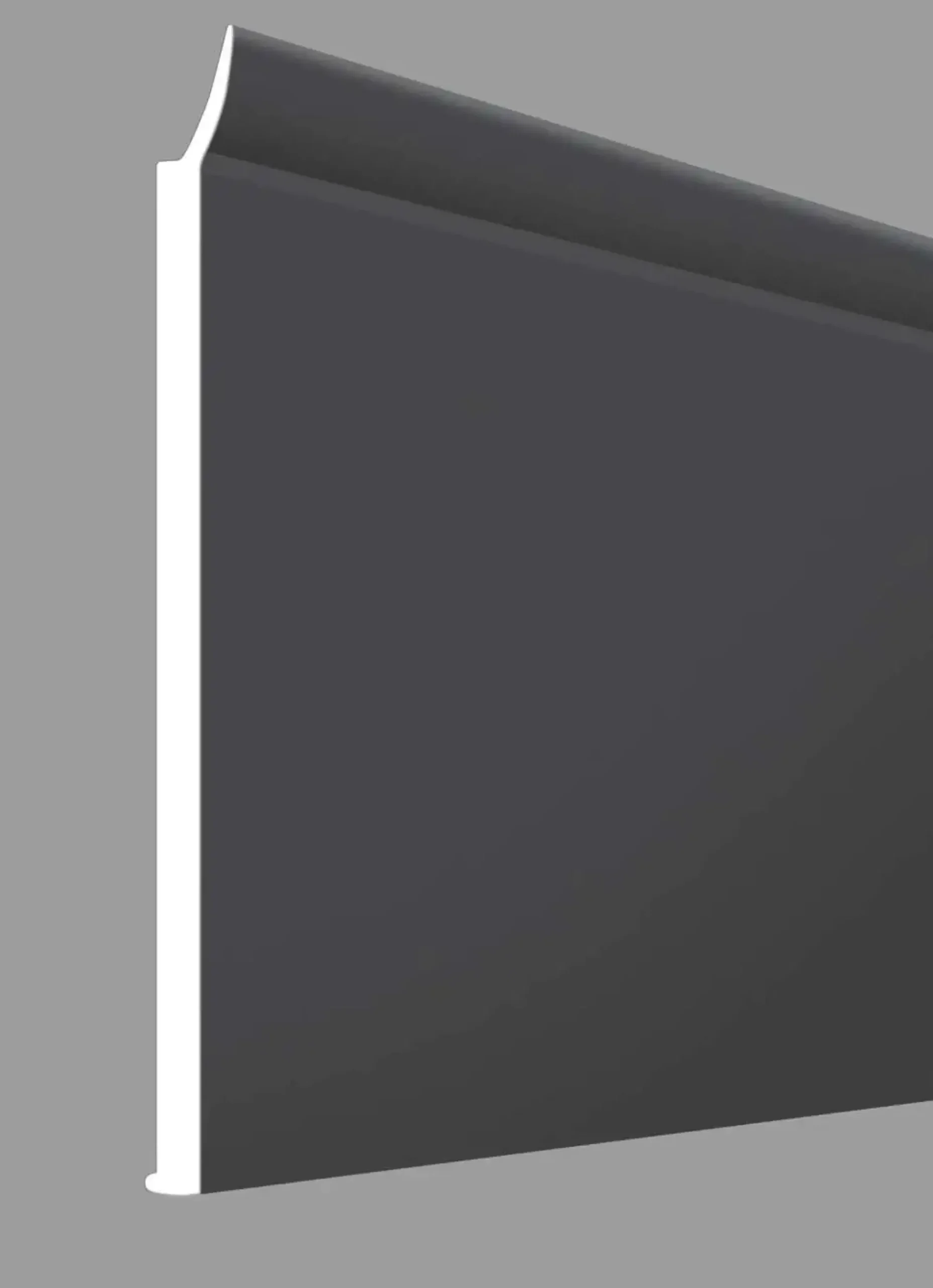Flachprofil mit Dichtlippe 220 x 5 x 0,3 cm titan