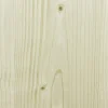 FN Neuhofer Flachleiste 100 cm 60 x 10 mm Fichte/Kiefer