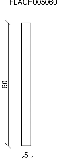 FN Neuhofer Flachleiste 100 cm 60 x 5 mm Fichte/Kiefer