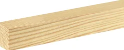 FN Neuhofer Flachleiste 200 cm 28 x 28 mm Lärche roh