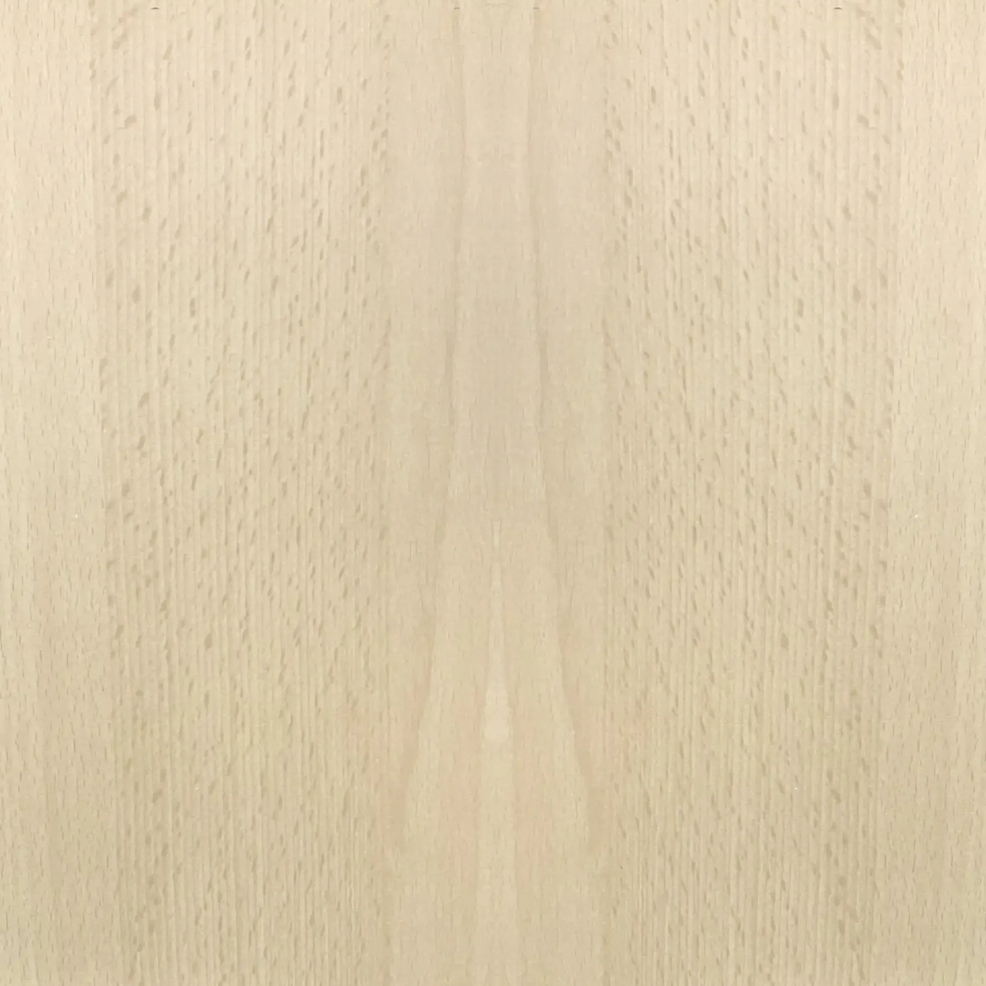 FN Neuhofer Flachleiste 210 cm 40 x 20 mm Buche