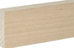 FN Neuhofer Flachleiste 210 cm 55 x 20 mm Buche