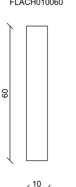 FN Neuhofer Flachleiste 240 cm 60 x 10 mm Fichte/Kiefer