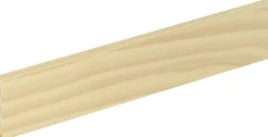 FN Neuhofer Flachleiste 100 cm 40 x 10 mm Fichte/Kiefer